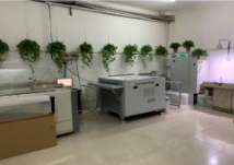 制版及色彩管理系统